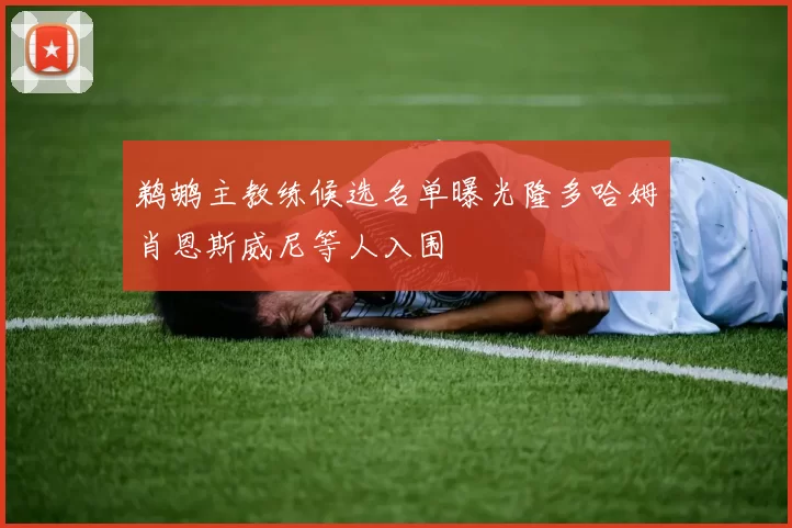 鹈鹕主教练候选名单曝光隆多哈姆肖恩斯威尼等人入围